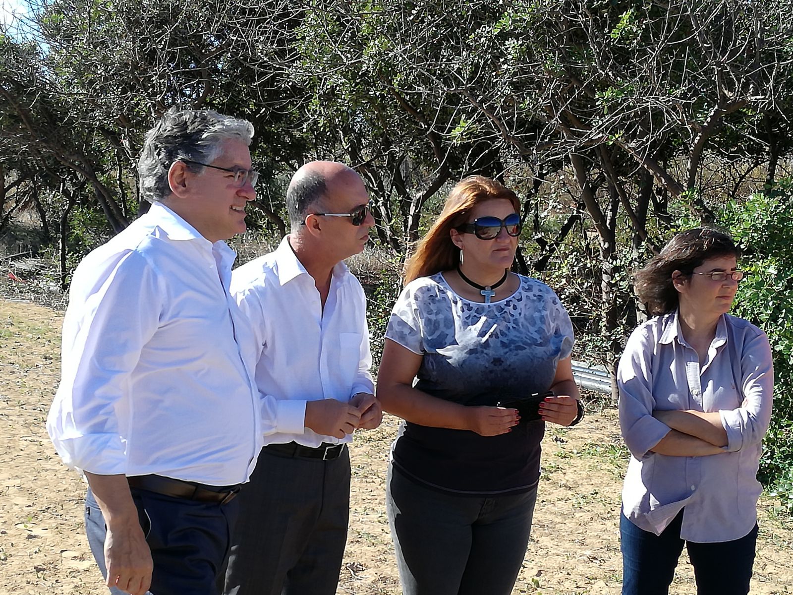 Governo Regional procede a desratização no Porto Santo