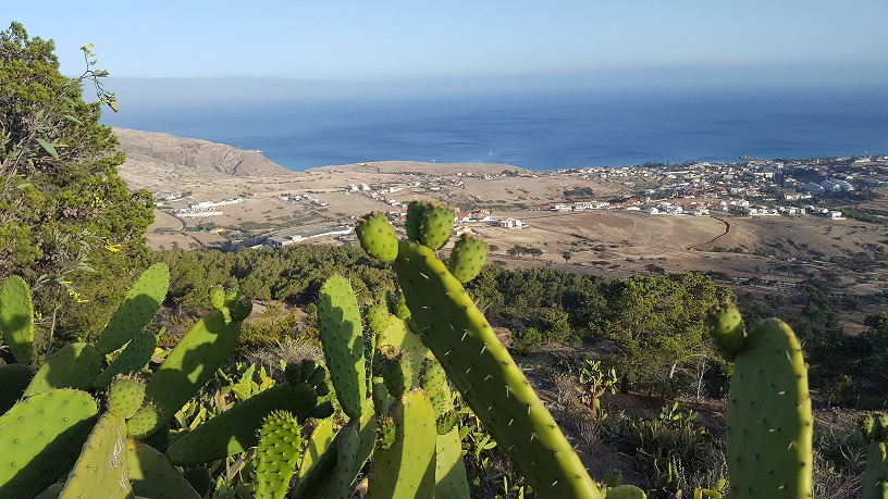 Técnicos da SRAP deslocaram-se ao Porto Santo