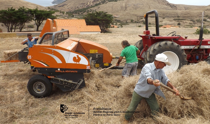 Novo equipamento de apoio aos produtores porto-santenses a funcionar desde o início do mês