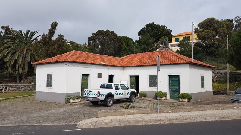 Serviços Florestais