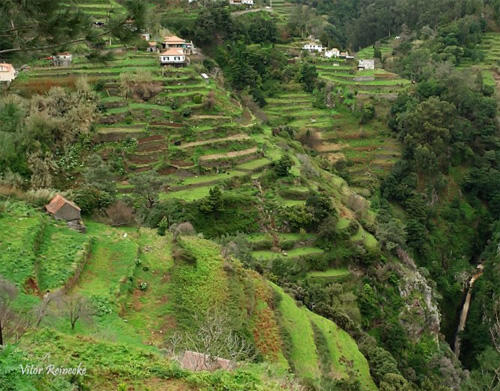 Indicações geográficas: um tesouro agrícola europeu que vale 75 mil milhões de euros