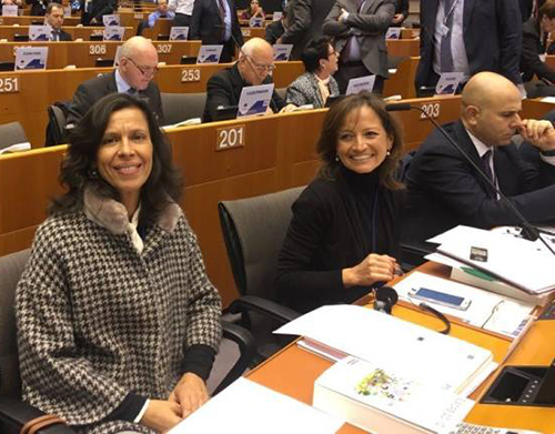 Paula Cabaço defende maior integração da Madeira na Rede Transeuropeia de Transportes