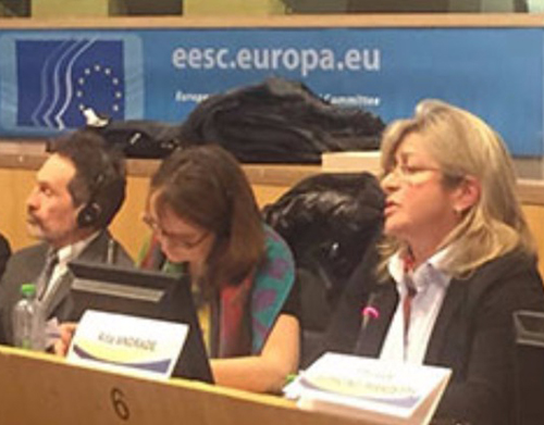 Madeira representada em Estrasburgo no Congresso dos Poderes Locais e Regionais do Conselho da Europa