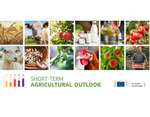 Agricultura: perspetivas a curto prazo da Comissão mostram resiliência do setor