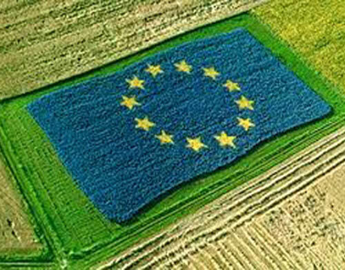 Consulta pública sobre o futuro da Política Agrícola Comum 2020