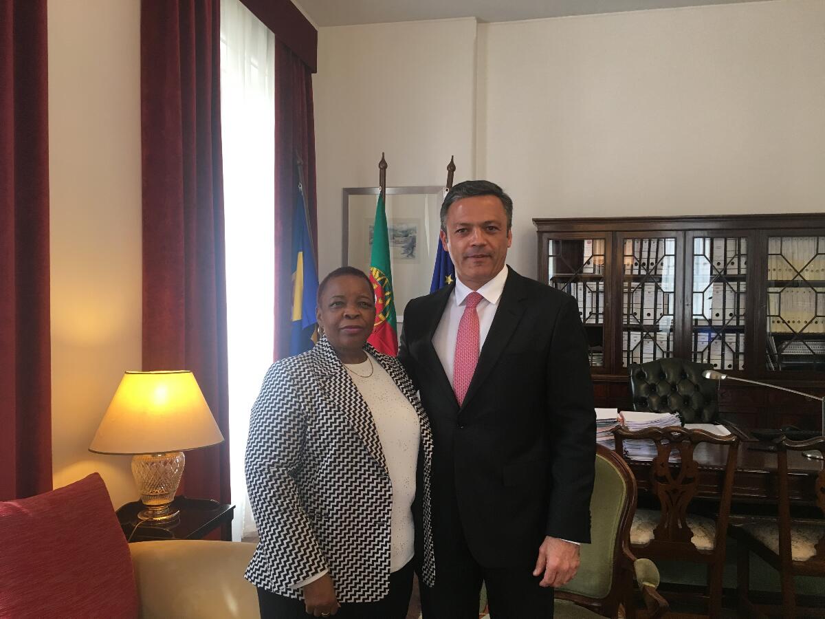 Vice-presidente recebe embaixadora da África do Sul