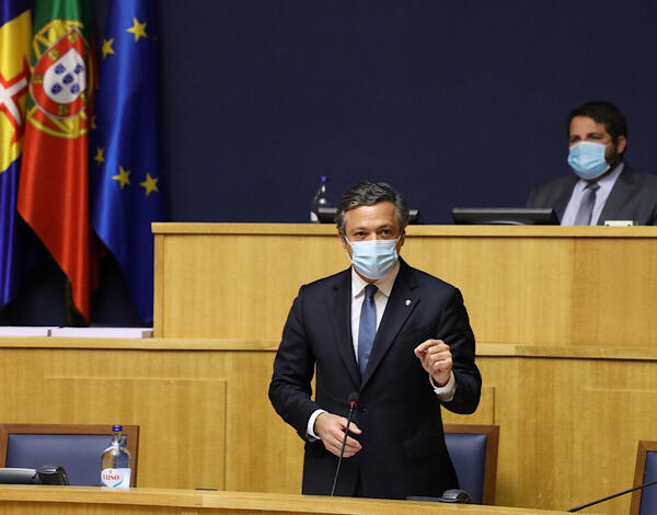 Madeira cria Provedor e dá mais um importante passo na defesa da causa animal