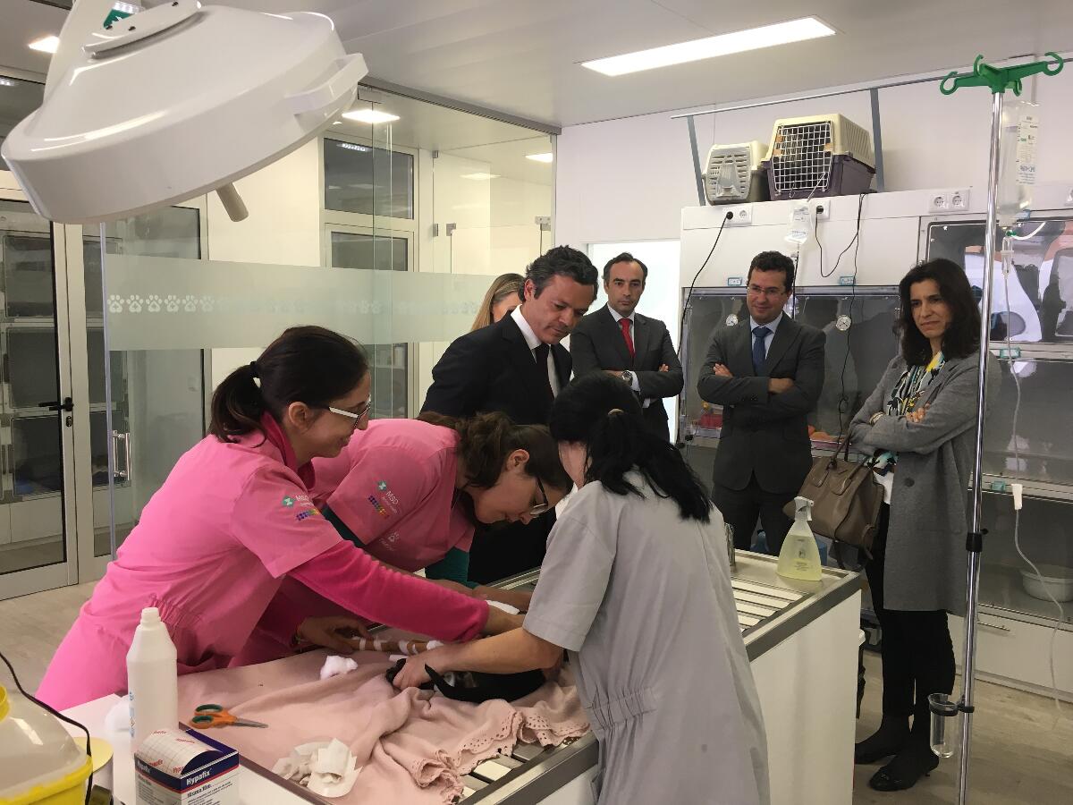 Vice-Presidente destaca investimentos arrojados com apoios do Governo Regional