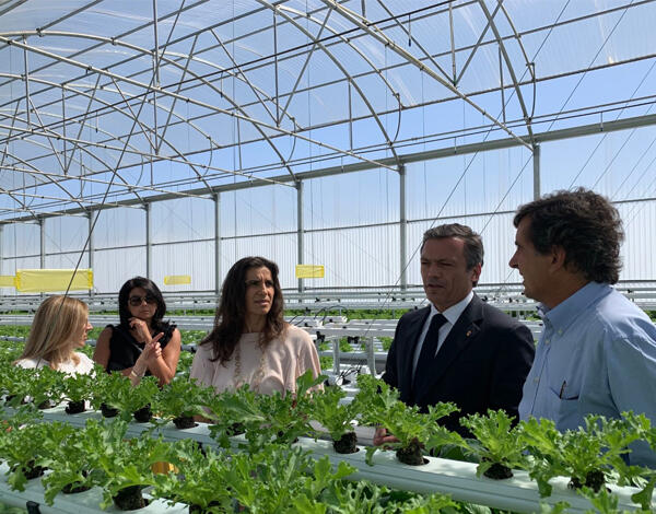 Incentivos ao investimento dinamizam a economia e criam emprego