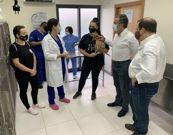 Governo Regional anuncia medidas inéditas para a causa animal