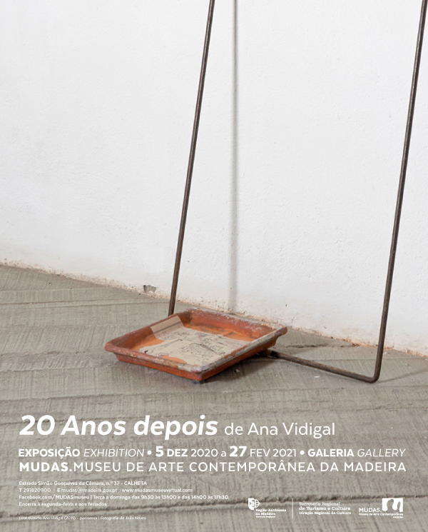 " 20 Anos Depois" de Ana Vidigal 