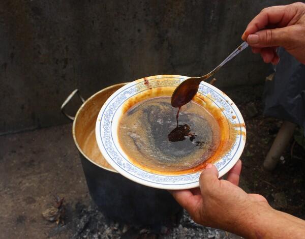 “Do teu fruto, o mel” no Museu Etnográfico da Madeira