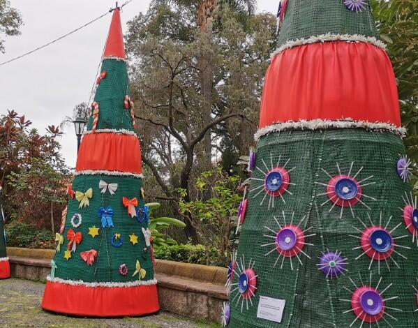 "Vamos enfeitar a árvore de Natal"