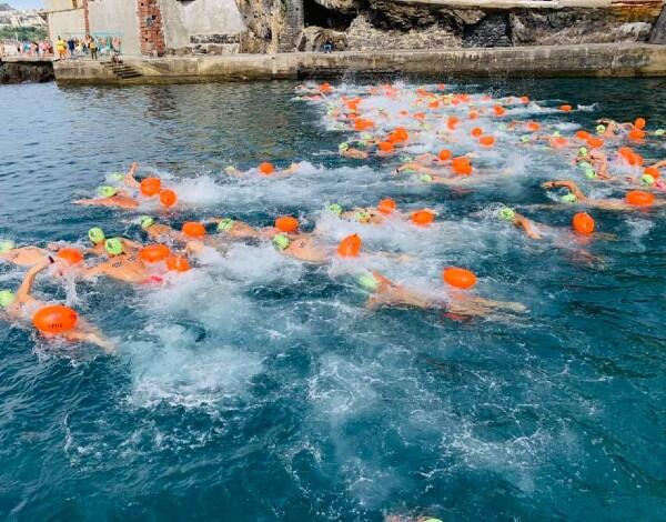 Governo Regional apoia o MIUS no valor de 35 mil euros