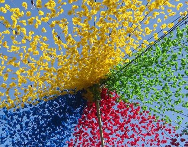 Governo Regional estreia projeto online “Coreto”