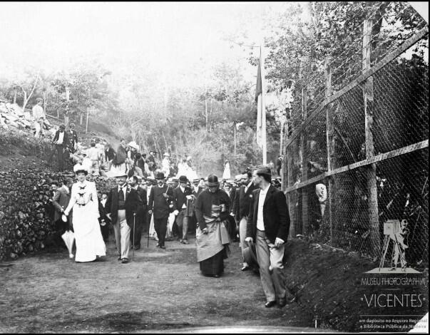 Newsletter do Arquivo e Biblioteca Pública da Madeira com novidades