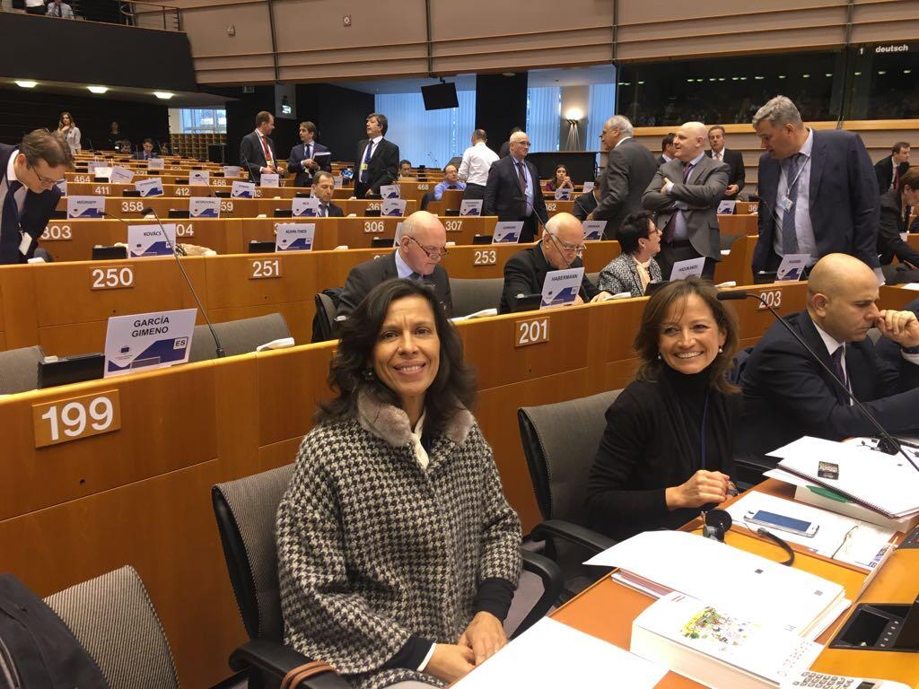 Governo Regional defende em Bruxelas apoio específico e oportunidades de aprendizagem para luso-venezuelanos