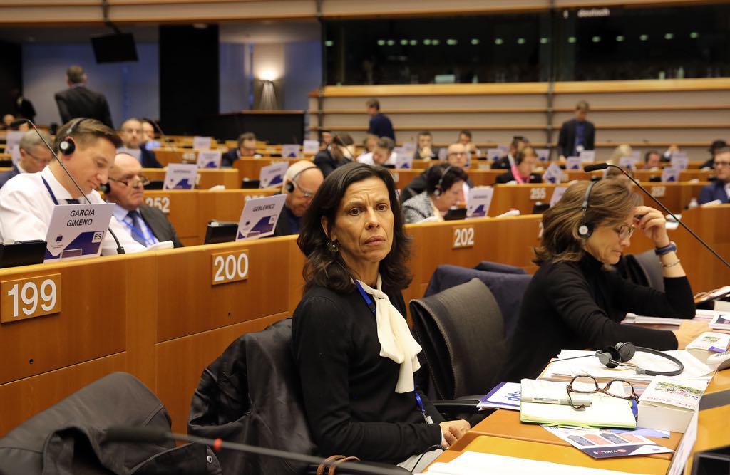 Madeira defende em Bruxelas continuidade do FSE, no período pós 2020