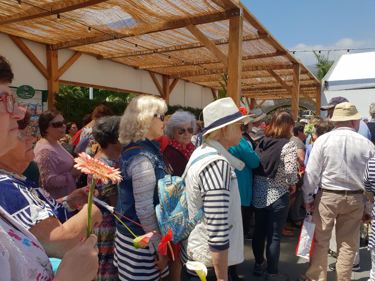 Mais de 450 idosos constroem Muro da Solidariedade