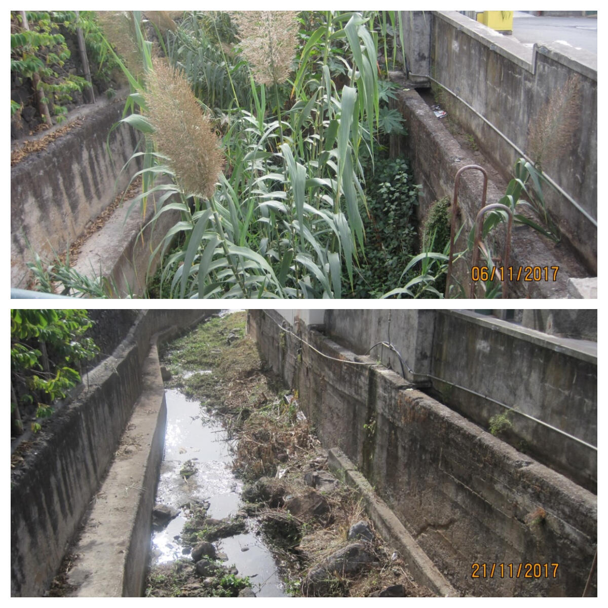 Ribeiras da Madeira e Porto Santo serão alvo de trabalhos de reabilitação