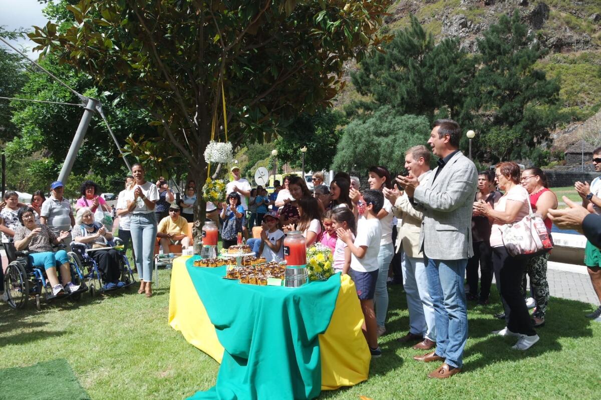 Complexo Desportivo da Madeira conta com novas dinâmicas 