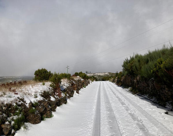 Apenas a ER 202 se encontra encerrada, neste momento, devido à neve