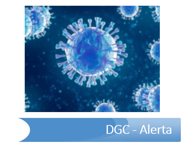 Coronavírus na Europa: Quais são os meus direitos?