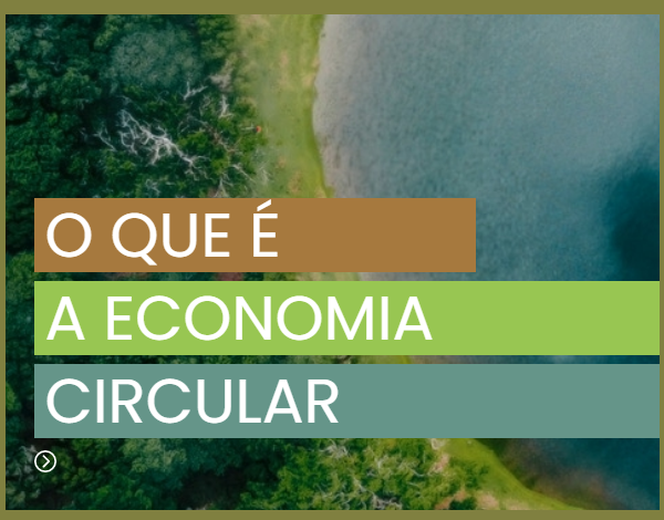 Plataforma Madeira Circular