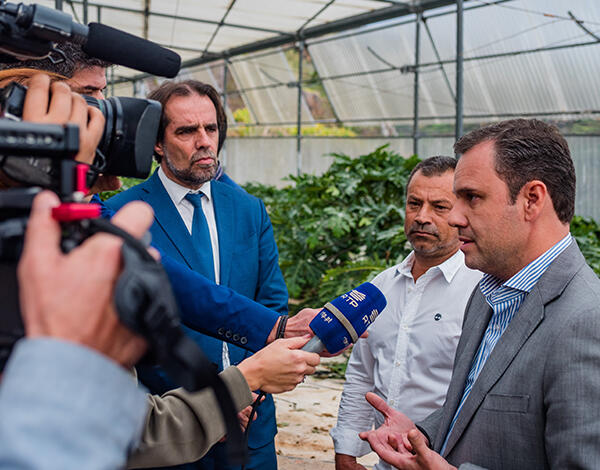 Rui Barreto e Miguel Albuquerque visitaram a maior exploração nacional de papaias