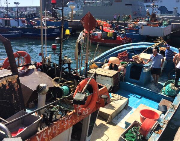 Prazo para candidaturas aos apoios no sector das pescas termina a 15 de junho