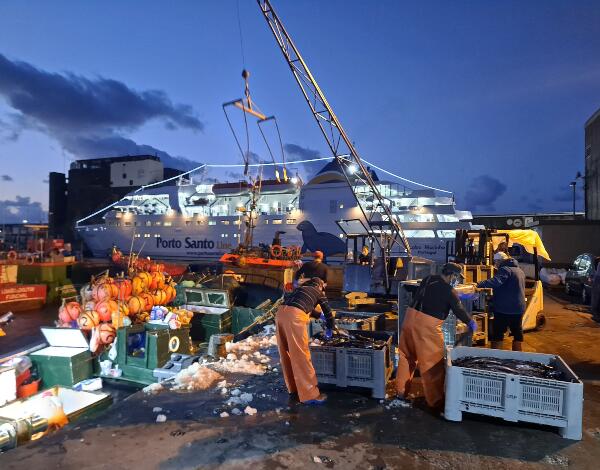 Espada descarregada no primeiro ano da pandemia supera capturas registadas no ano anterior   