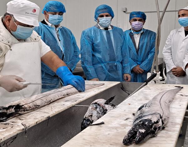 Secretário de Mar e Pescas engrandece dinamismo da empresa J. Nelson Abreu, SA