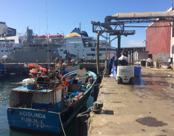 Setor das pescas com mais 1 milhão e 800 mil euros de apoio
