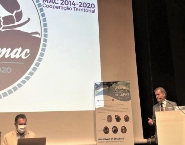 Secretário regional revela crescimento de 30% na apanha da lapa 