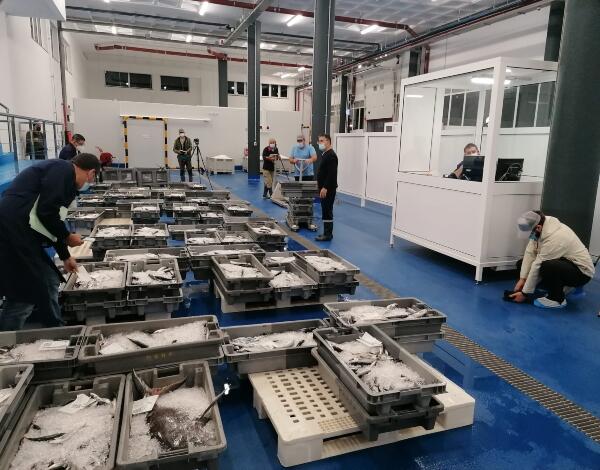 Equipa de produção espanhola na Rota do Peixe da Madeira