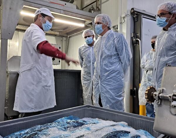 Secretário de Mar e Pescas enaltece "capacidade inovadora" das empresas da Região que operam no comércio e transformação do setor das pescas