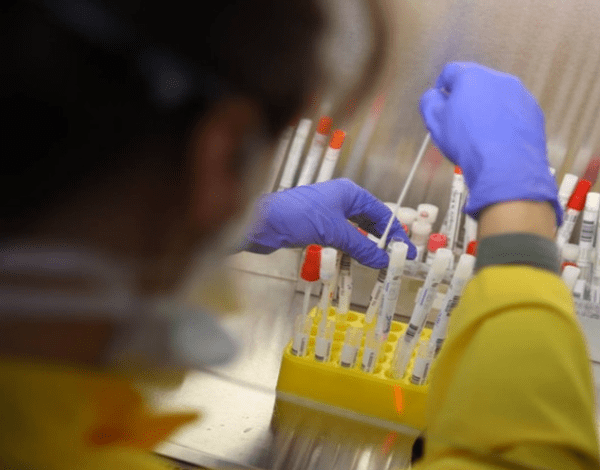 Testes gratuitos à covid-19 no Porto para quem viaja para a RAM