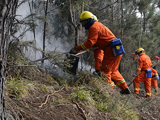Aprovado Plano de Combate a Incêndios Florestais 2016