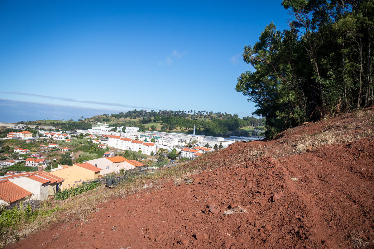 Limpeza de terrenos em trabalho de prevenção contra incêndios