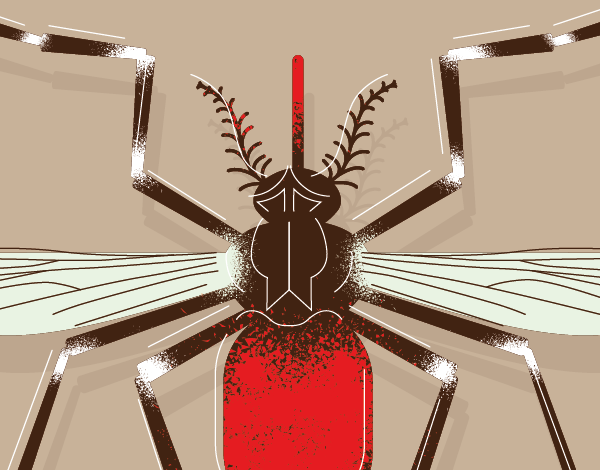 Época Alta da Atividade do Mosquito Aedes aegypti