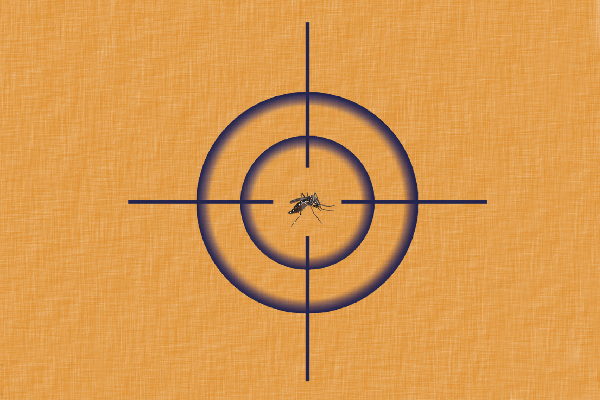 Medidas de prevenção nas doenças transmitidas por mosquitos