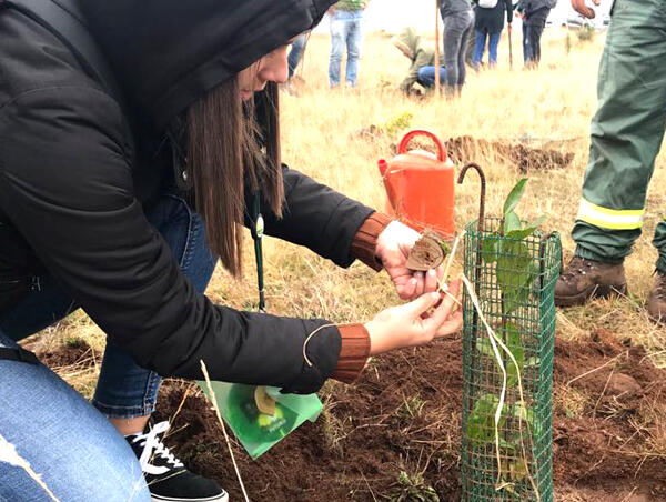 “Plantar o Futuro” cria laços com jovens