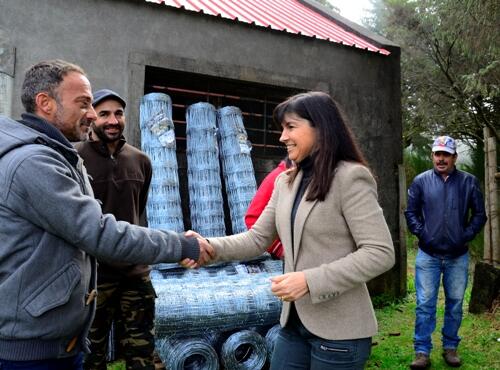 Governo apoia gado nas serras