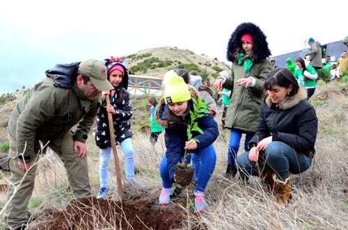 Ambiente sensibiliza com ação de reflorestação para a prevenção contra aluviões