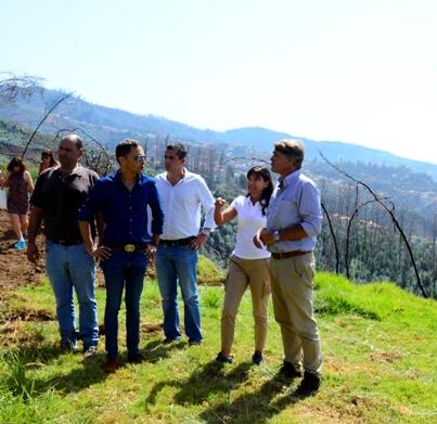 Limpeza de mais 8 hectares de floresta em São Roque