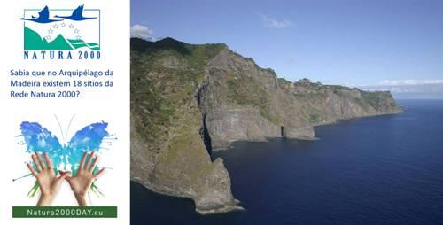 ‘Semana Verde 2017’ debate ‘empregos verdes para um futuro mais verde’