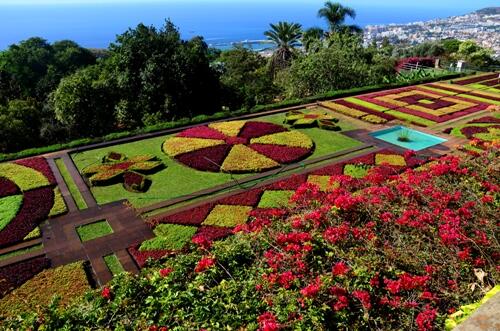 Jardim Botânico com o melhor ano de sempre