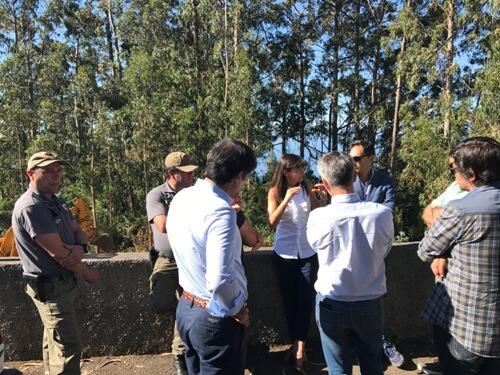 Susana Prada visita trabalhos de limpeza em mais 30 mil m2  de terrenos florestais em santo António