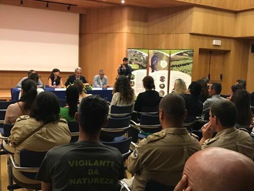 Projeto de conservação identifica 98 ninhos de fura-bardos na ilha da Madeira