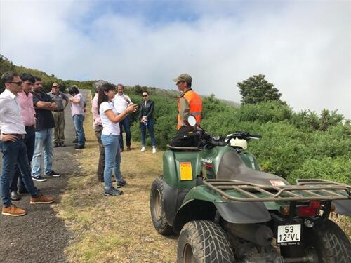 Vigilância das serras a partir de 6 torres e 60 postos móveis